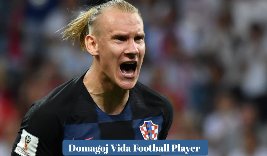 Domagoj Vida